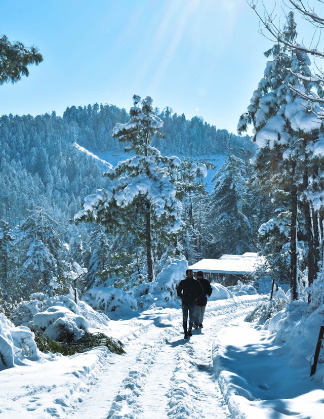 Zelvanton енергия